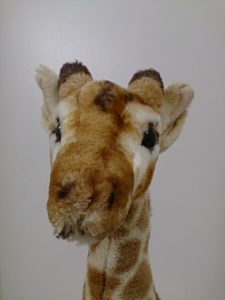 キリンさん